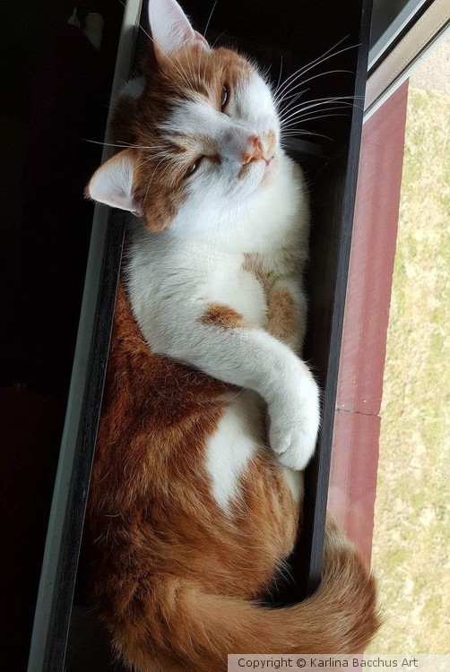 Cuthbert