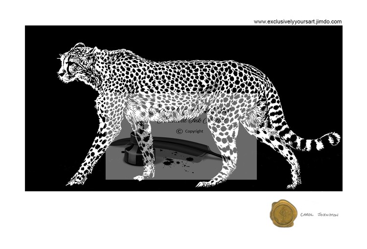 CJ Cheetah stalking