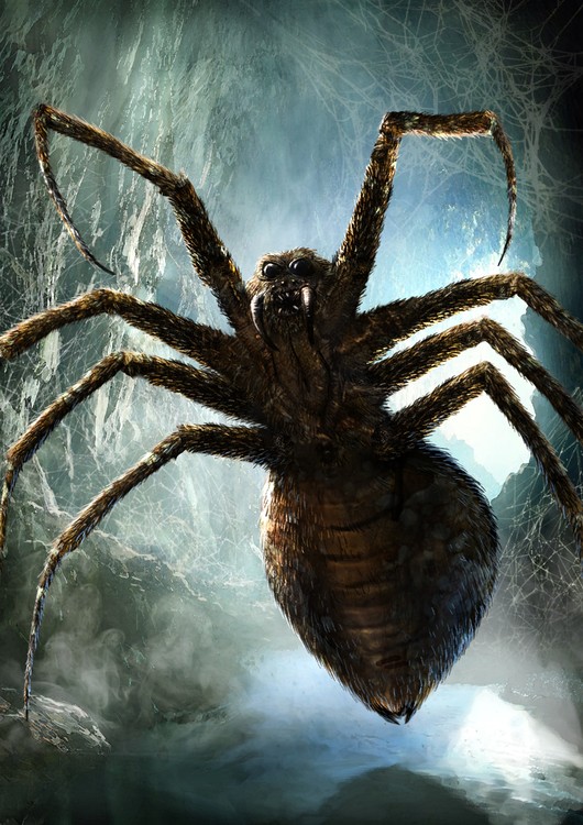 Arachnid