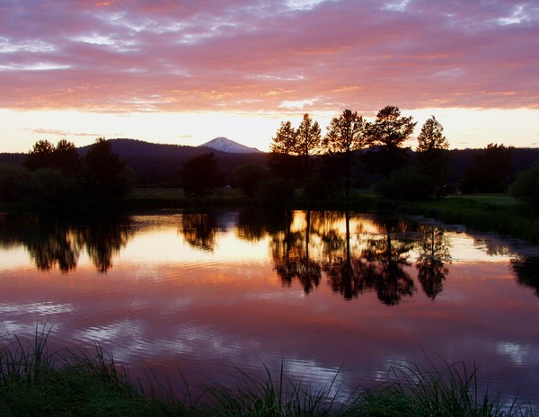 Pink Reflections