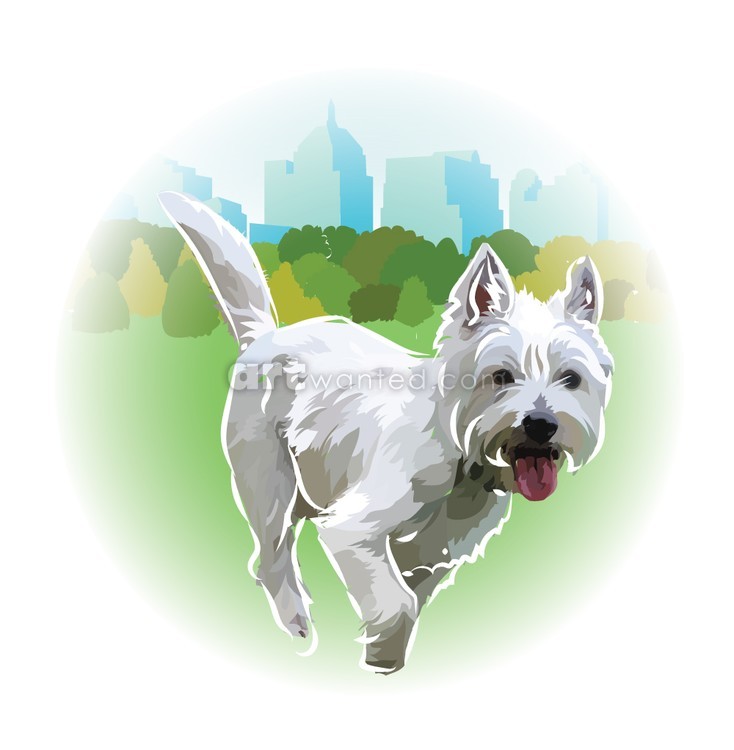 White-terrier