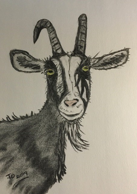 Kiss a Goat