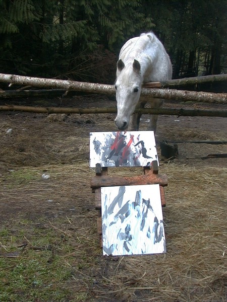 Hadancy's  work
