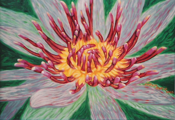 Water Lily