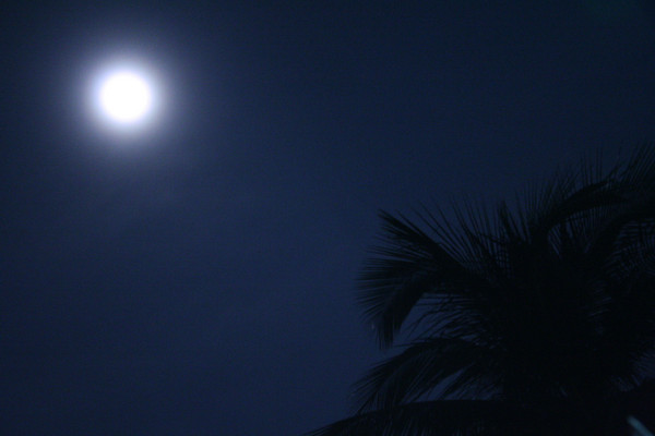 Moonlight
