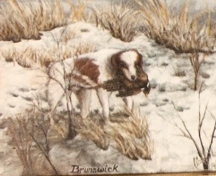 Brunswick Was His Name