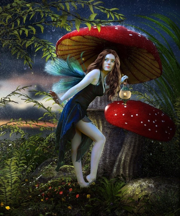 lanny shroom 1400