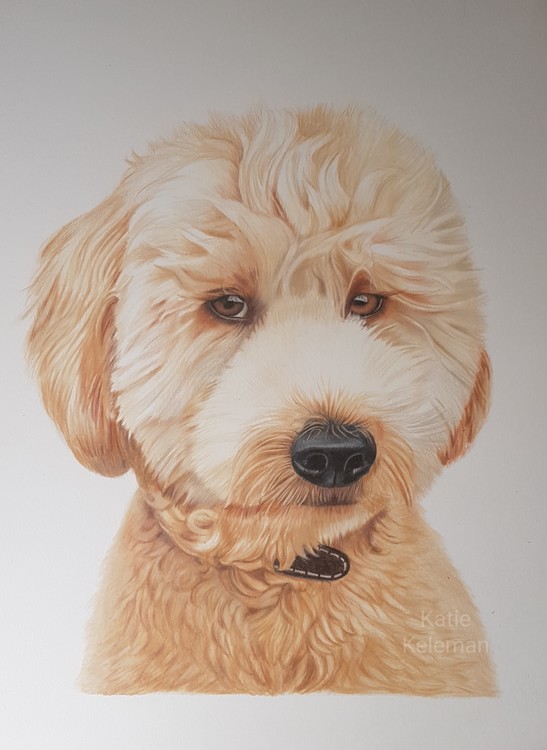 Wilbur