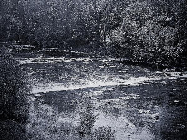 Rushing Waters