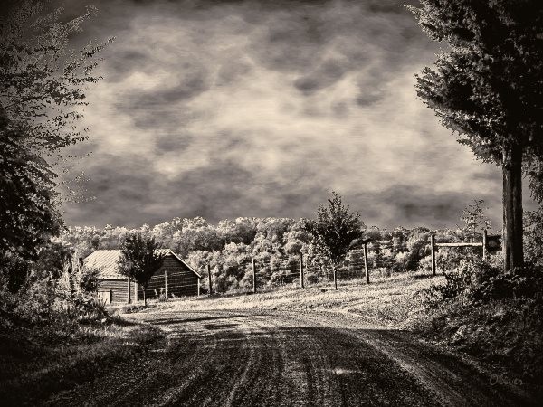 Bend In The Road