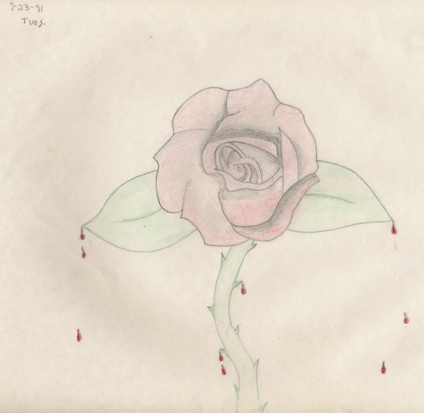 Rose