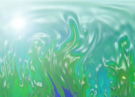 Seaweed?