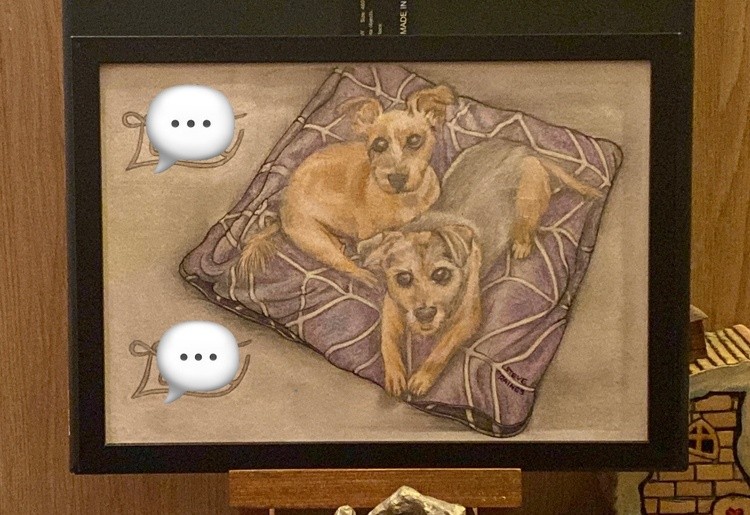 Dogs on a cusion