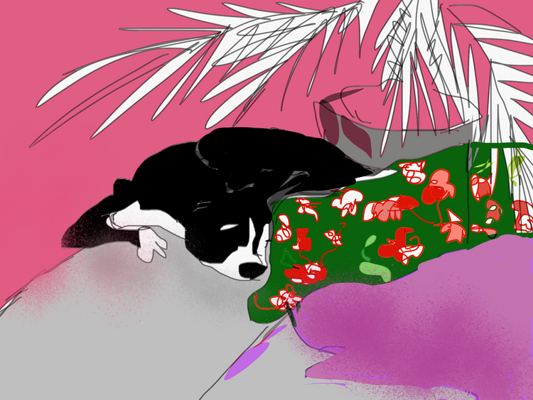 Taking care of dog Tess