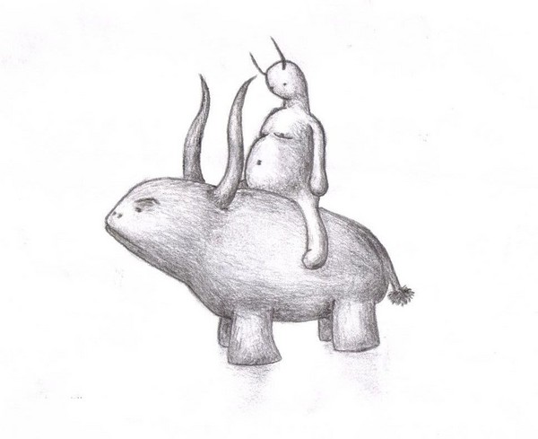 the rider