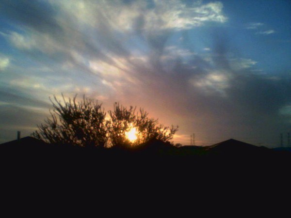 Near Home