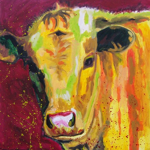 D226 cow 13