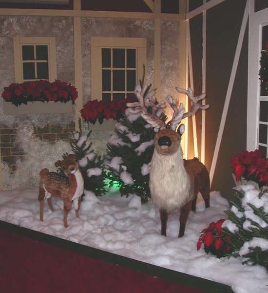 Reindeer Greetings