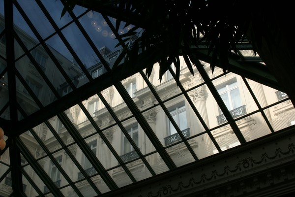 A Roof with a View