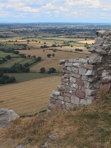 246. BEESTON CASTLE view