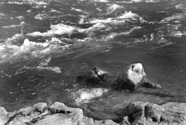 American River Auburn Trail Grayscale 001