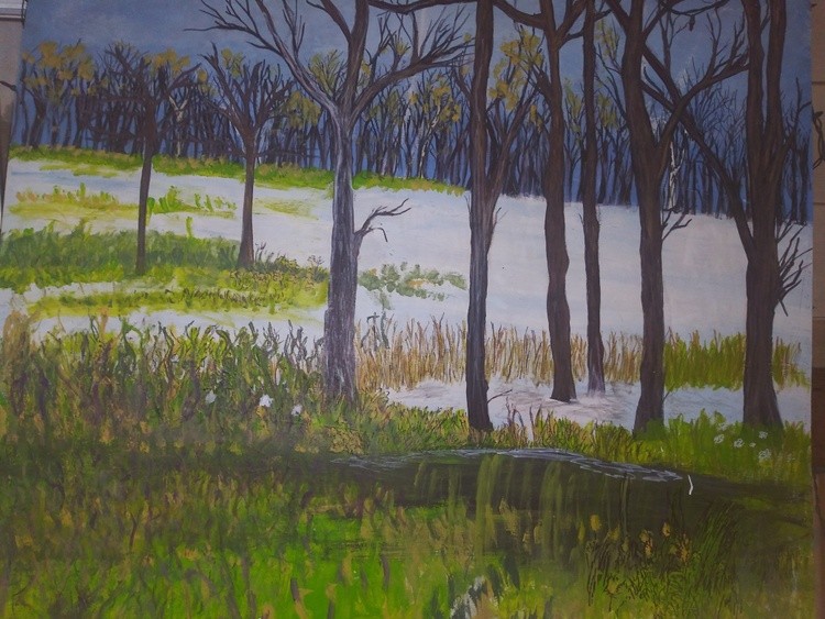 A winter Spring