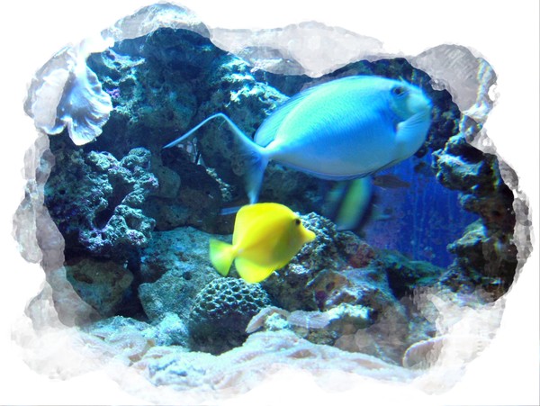 Deep Water.