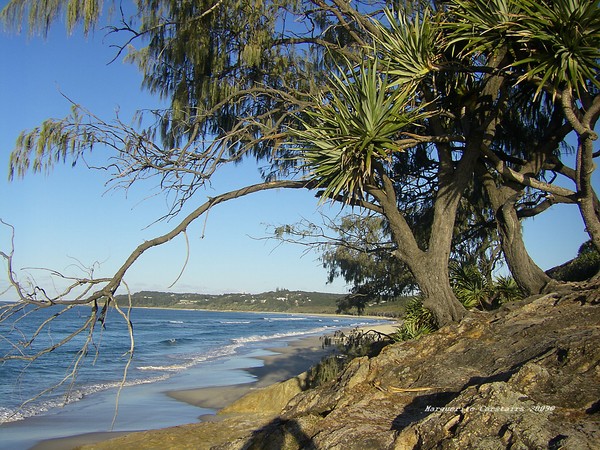 Coastal Island Cove
