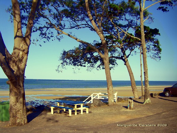 Picnic on the Shore