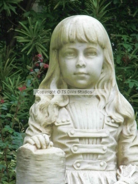 Bonaventure- Gracie