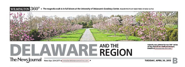 104th News Journal Panorama - Magnolia Walk