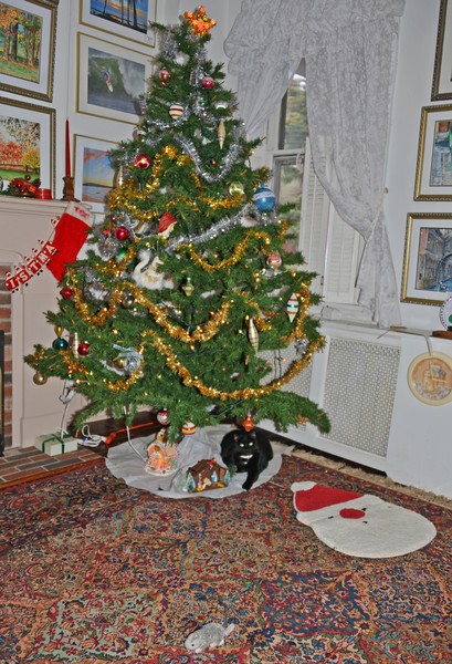 Emmie and Christmas Tree