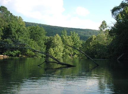 Devils Den State Park in Arkansas