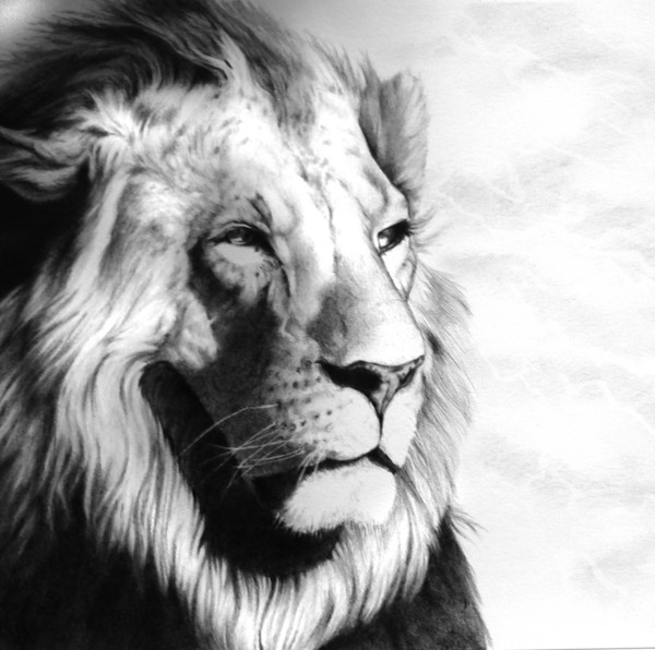 Aslan