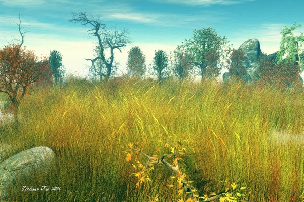Fieldorama