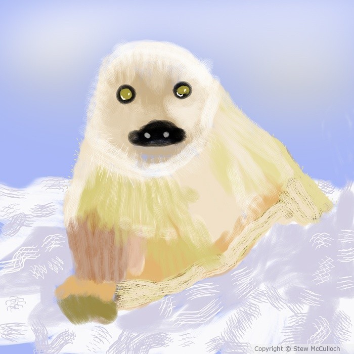 Baby Seal  P270