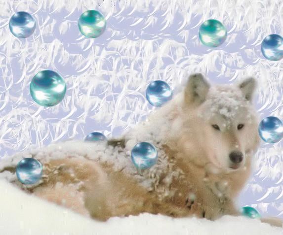 Snow Queen
