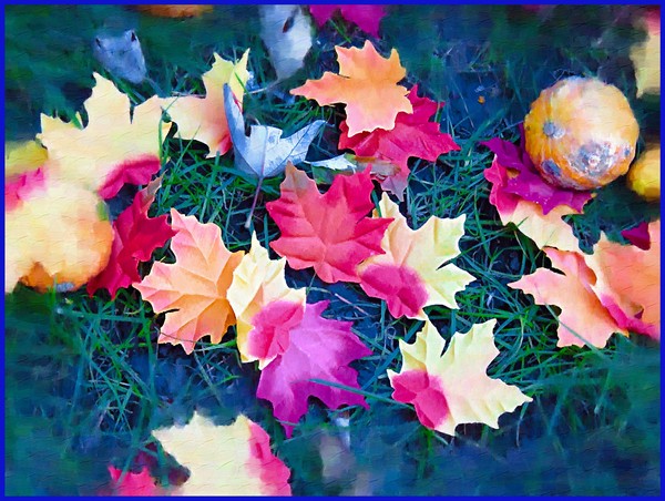 Fallen Leaves