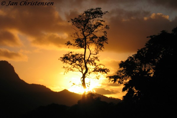Ko'olau Sunrise