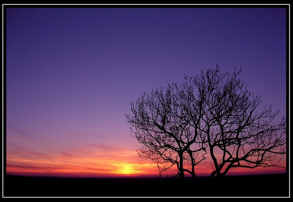Nightfall