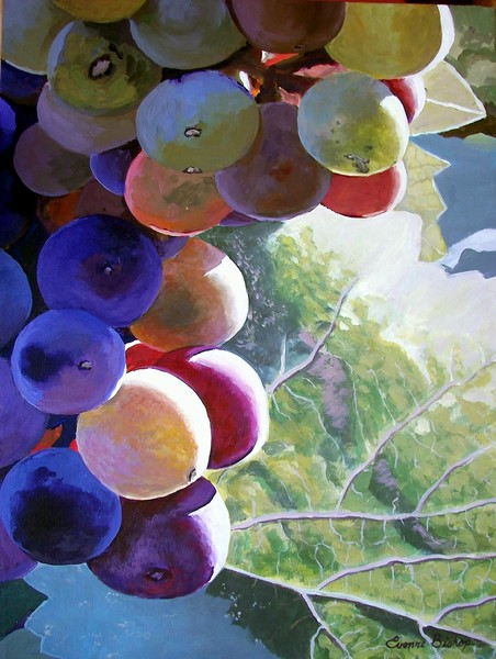 Vineyard Bounty