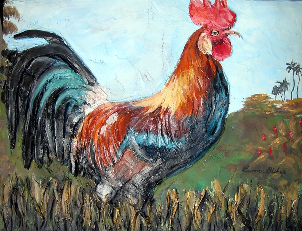 Kauai Rooster