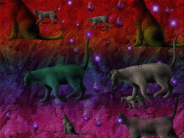 Da cats walk the night 