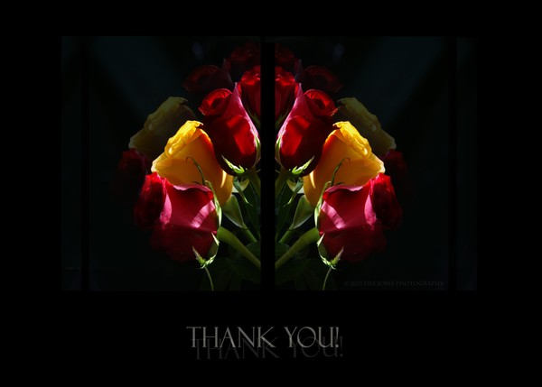 Thank You!