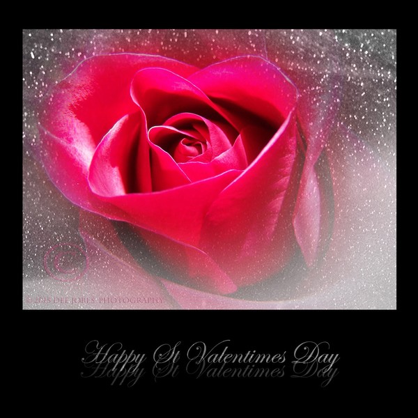 Happy St. Valentine's Day
