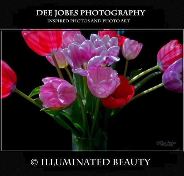 ILLUMINATED BEAUTY
