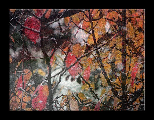 Snow/Fall
