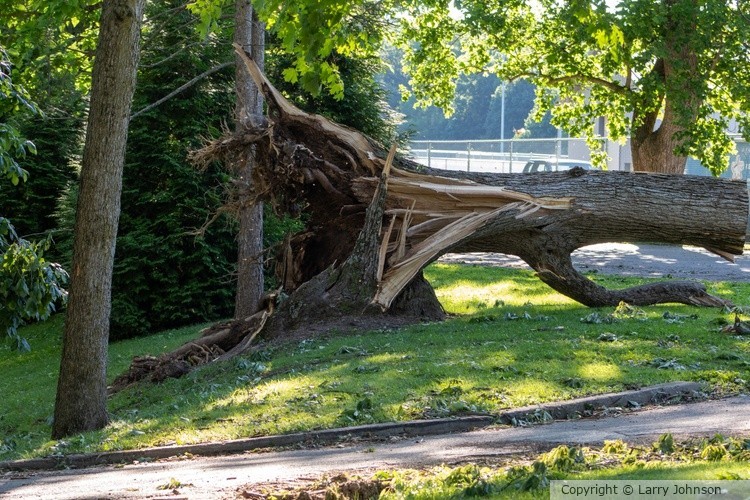 storm damage