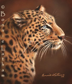 Asian Leopard 2