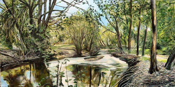 Reflections on a Stream